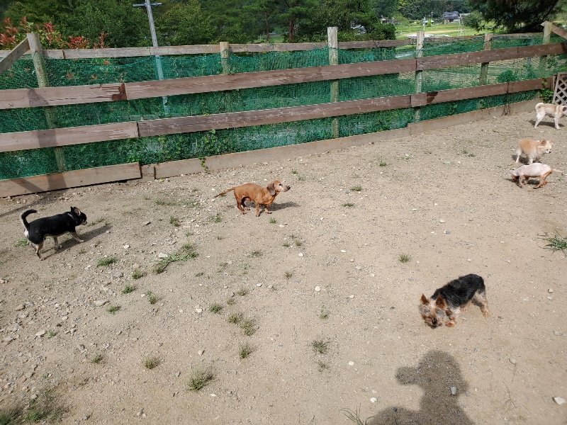 f:id:roukenhome-ann:20190917051806j:plain