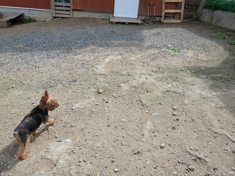 f:id:roukenhome-ann:20190917051820j:plain