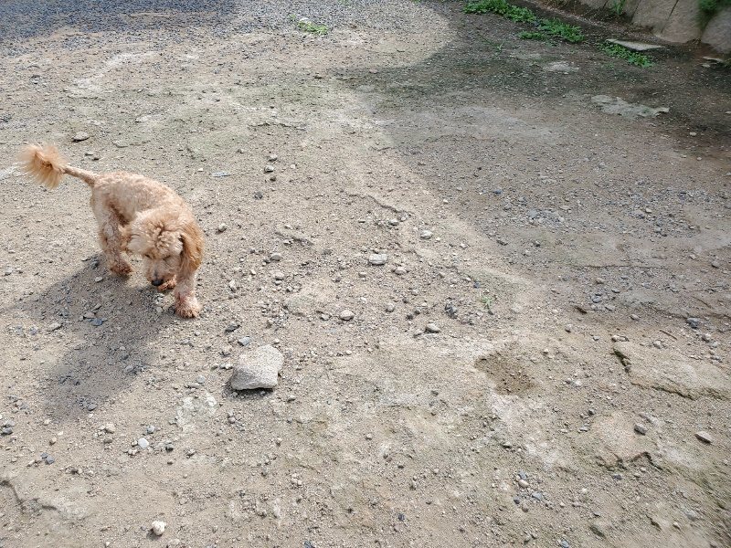 f:id:roukenhome-ann:20190917051842j:plain