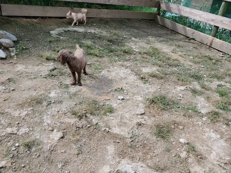 f:id:roukenhome-ann:20190917051854j:plain