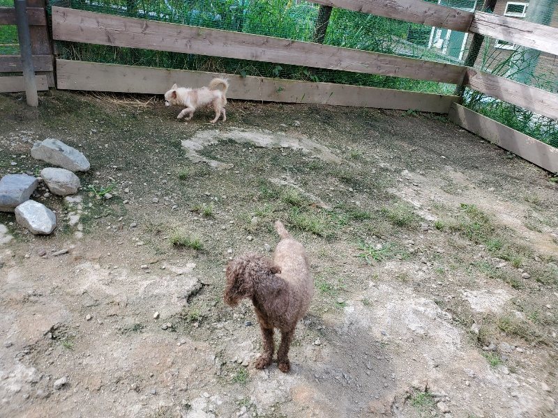 f:id:roukenhome-ann:20190917051913j:plain