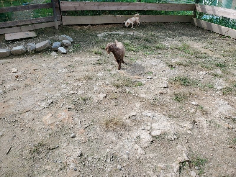 f:id:roukenhome-ann:20190917051924j:plain