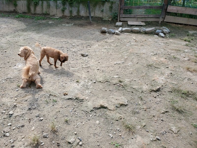 f:id:roukenhome-ann:20190917051937j:plain