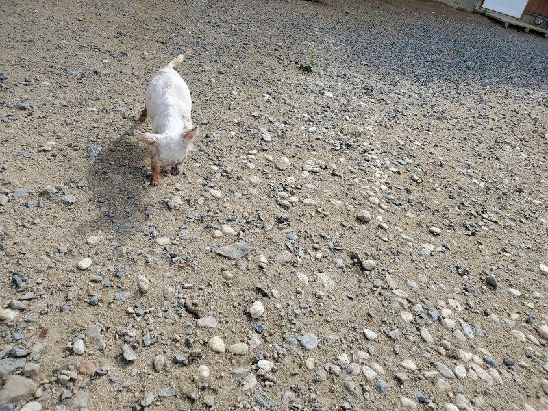 f:id:roukenhome-ann:20190917052143j:plain
