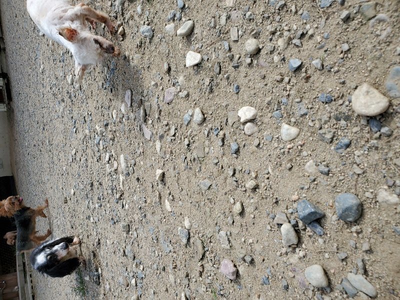f:id:roukenhome-ann:20190917052150j:plain