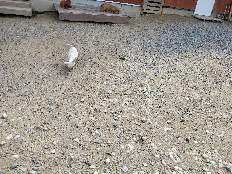 f:id:roukenhome-ann:20190917052208j:plain