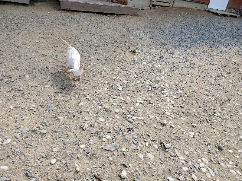 f:id:roukenhome-ann:20190917052234j:plain