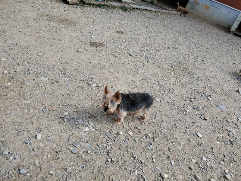 f:id:roukenhome-ann:20190917052421j:plain