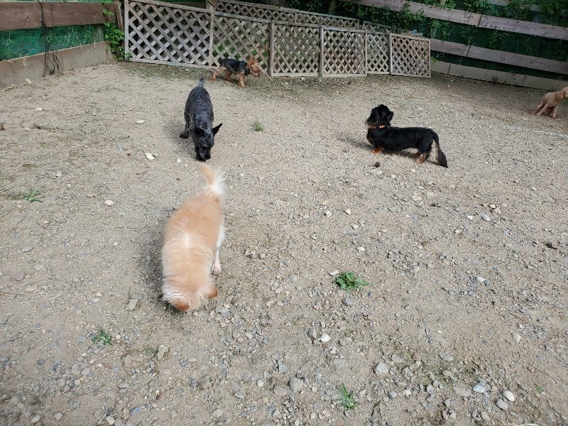 f:id:roukenhome-ann:20190917052427j:plain