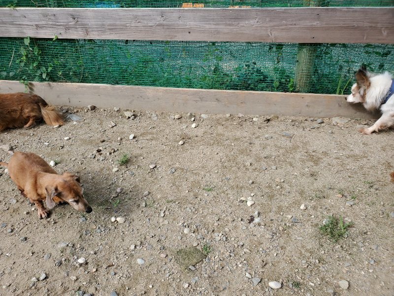 f:id:roukenhome-ann:20190917052432j:plain