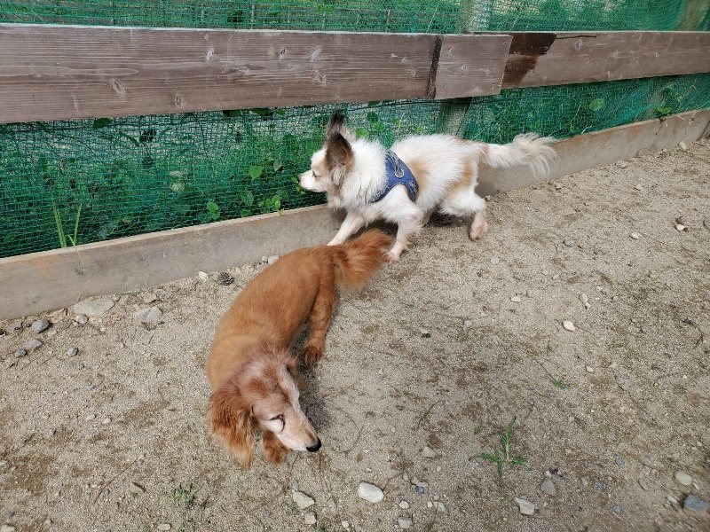 f:id:roukenhome-ann:20190917052456j:plain