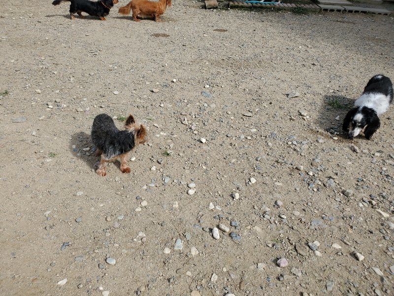 f:id:roukenhome-ann:20190917052544j:plain