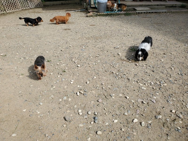 f:id:roukenhome-ann:20190917052552j:plain