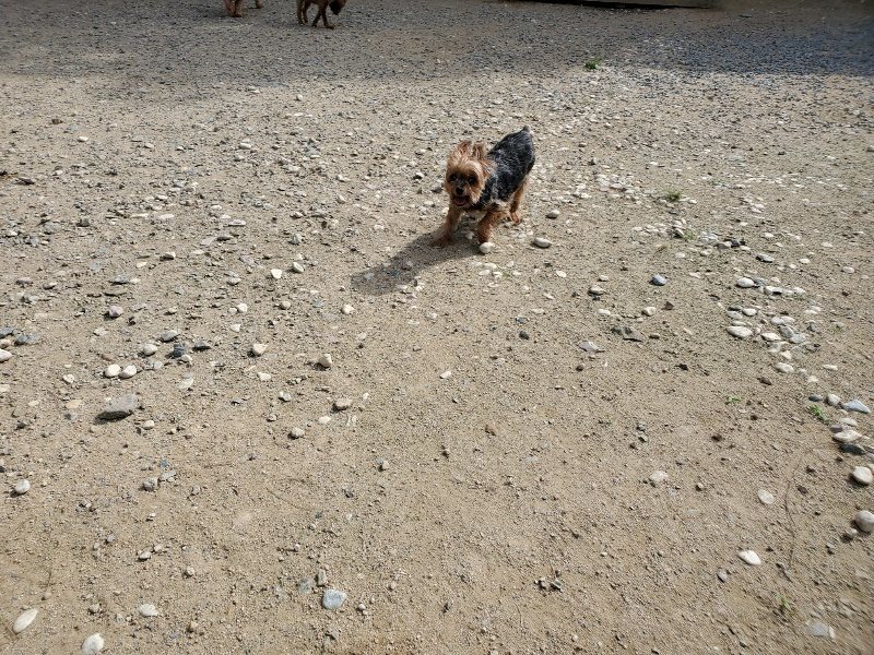 f:id:roukenhome-ann:20190917052622j:plain