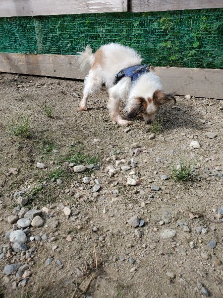 f:id:roukenhome-ann:20190917052636j:plain