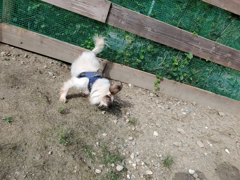 f:id:roukenhome-ann:20190917052641j:plain