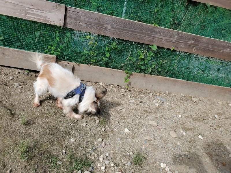 f:id:roukenhome-ann:20190917052647j:plain