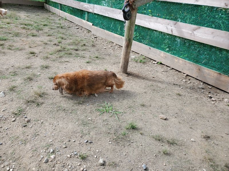 f:id:roukenhome-ann:20190917052710j:plain