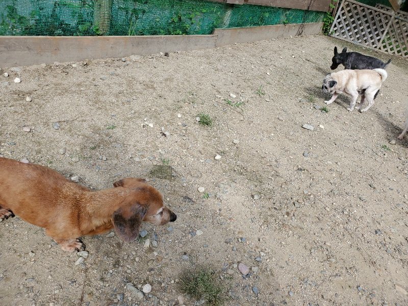 f:id:roukenhome-ann:20190917052717j:plain