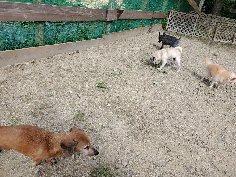 f:id:roukenhome-ann:20190917052726j:plain