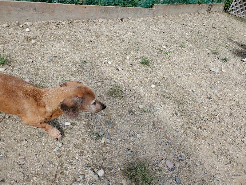 f:id:roukenhome-ann:20190917052731j:plain