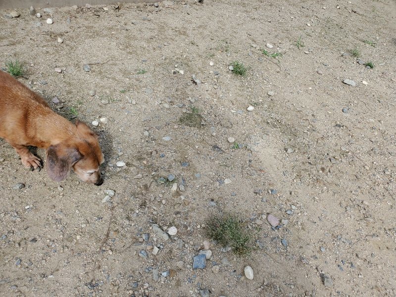 f:id:roukenhome-ann:20190917052738j:plain