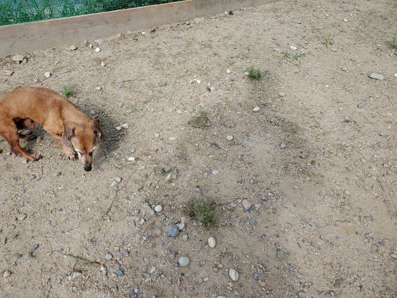 f:id:roukenhome-ann:20190917052744j:plain