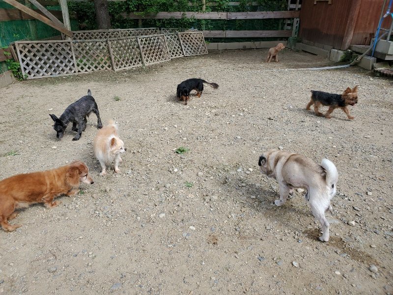 f:id:roukenhome-ann:20190917052825j:plain