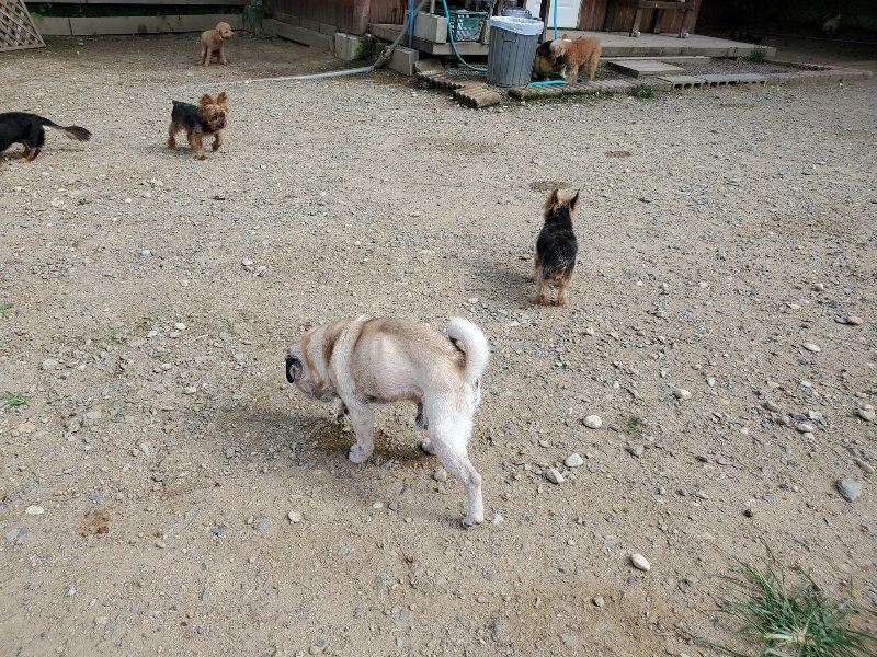 f:id:roukenhome-ann:20190917052841j:plain