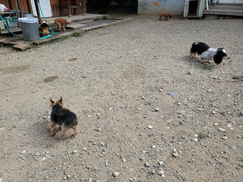 f:id:roukenhome-ann:20190917052846j:plain