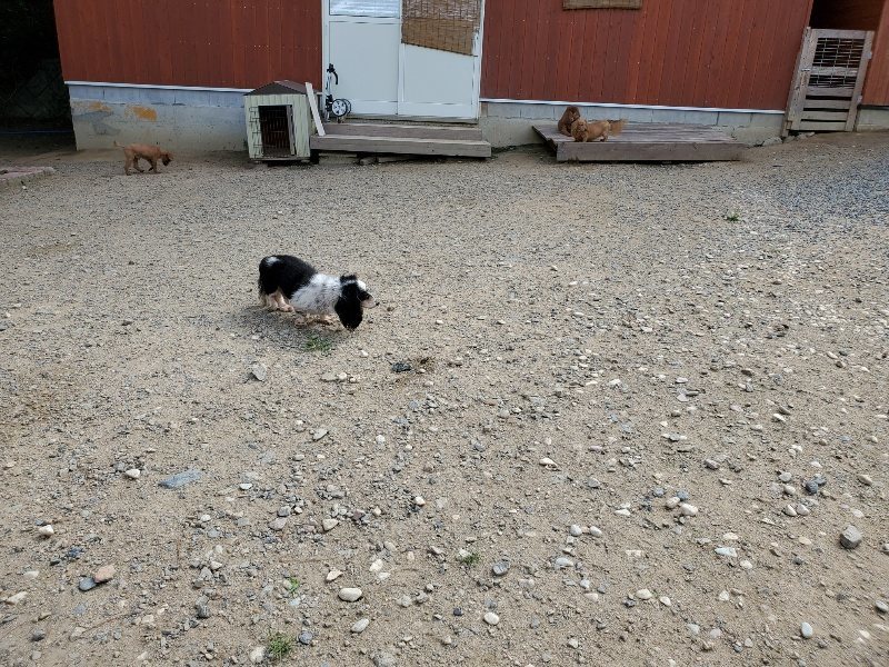 f:id:roukenhome-ann:20190917052852j:plain