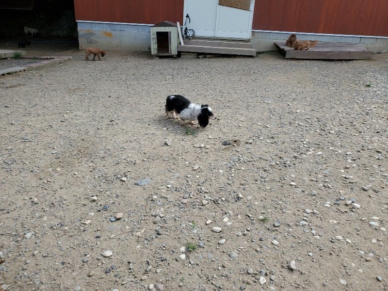 f:id:roukenhome-ann:20190917052858j:plain