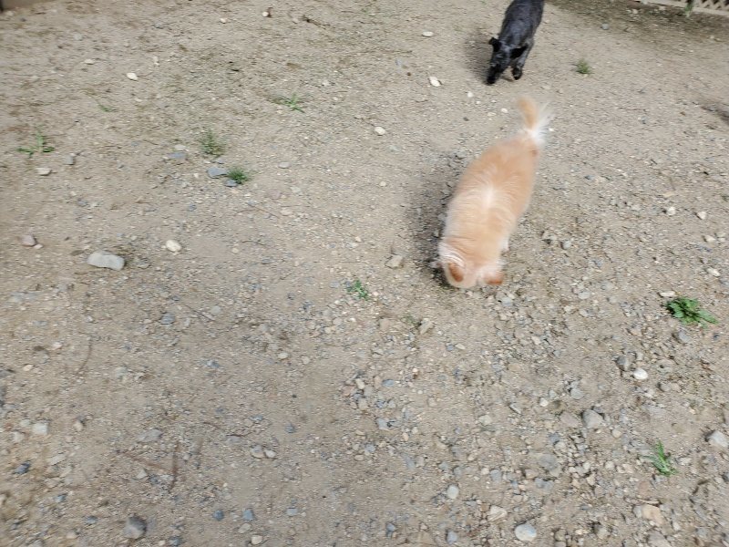 f:id:roukenhome-ann:20190917052902j:plain
