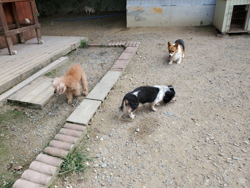 f:id:roukenhome-ann:20190917063330j:plain