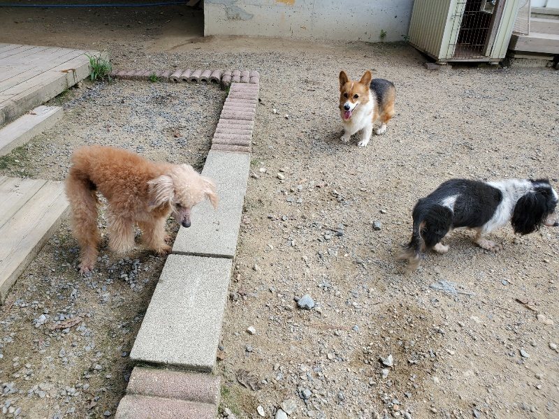 f:id:roukenhome-ann:20190917063336j:plain