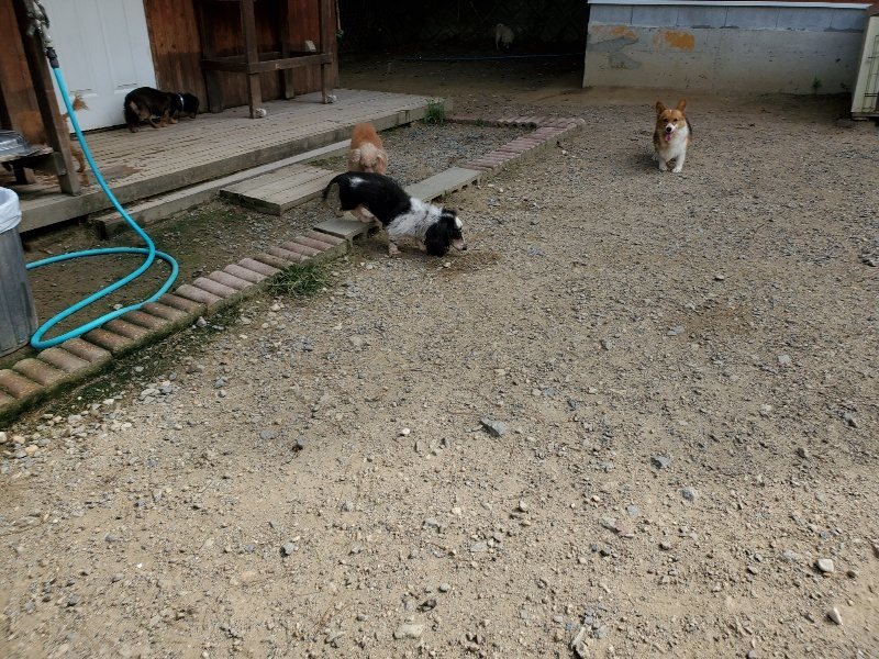f:id:roukenhome-ann:20190917063341j:plain