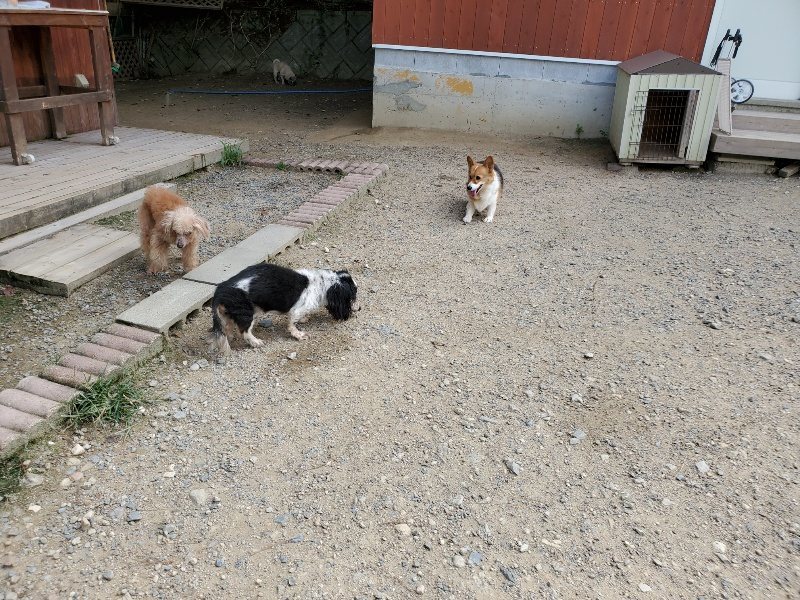 f:id:roukenhome-ann:20190917063347j:plain