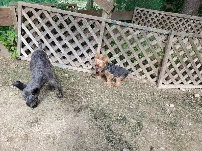 f:id:roukenhome-ann:20190917063419j:plain
