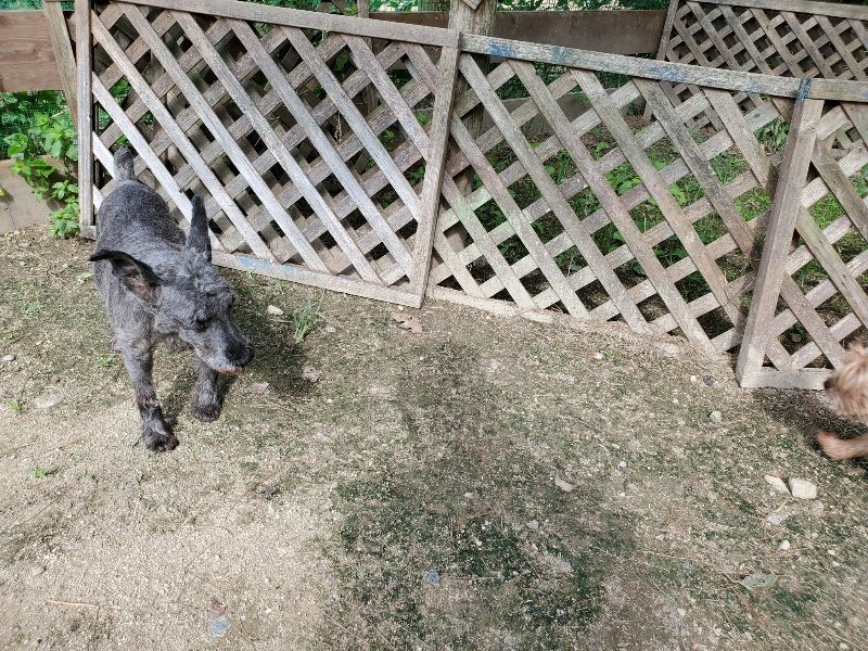 f:id:roukenhome-ann:20190917063425j:plain