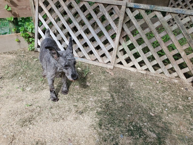 f:id:roukenhome-ann:20190917063432j:plain