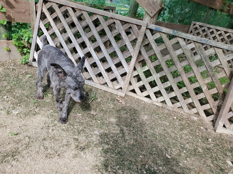 f:id:roukenhome-ann:20190917063449j:plain