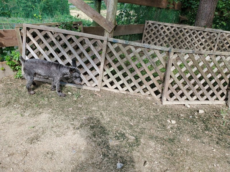 f:id:roukenhome-ann:20190917063455j:plain