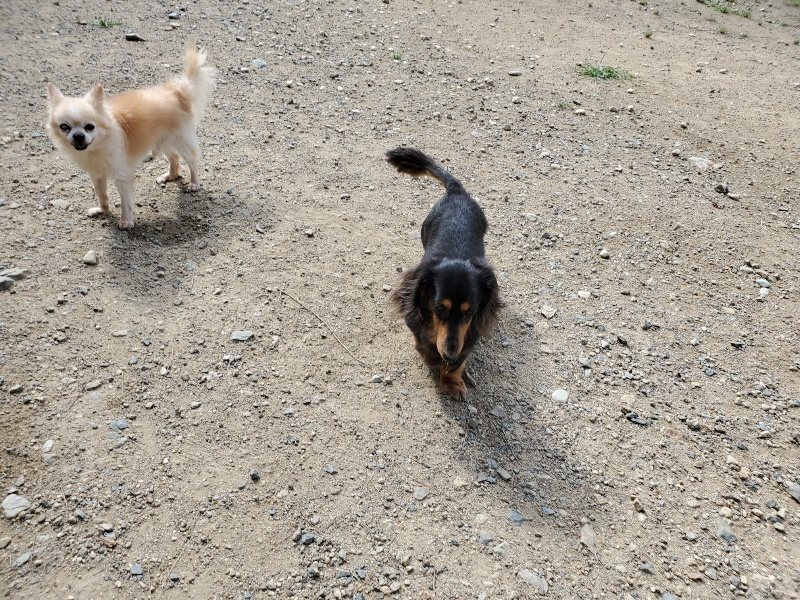 f:id:roukenhome-ann:20190917063515j:plain