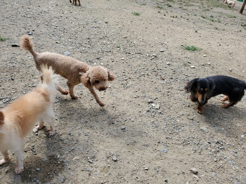 f:id:roukenhome-ann:20190917063523j:plain