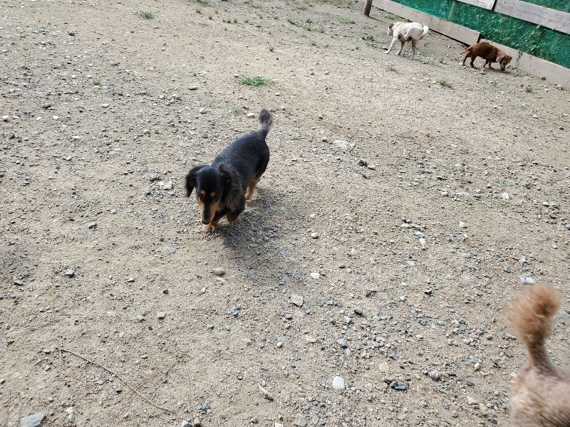 f:id:roukenhome-ann:20190917063529j:plain