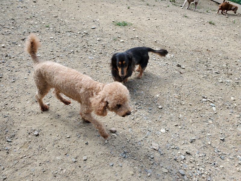 f:id:roukenhome-ann:20190917063537j:plain