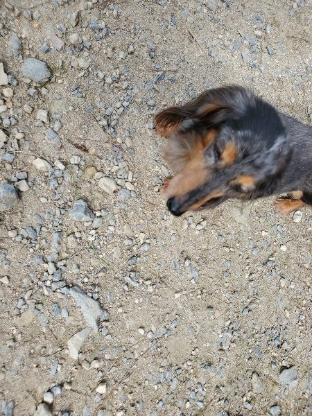 f:id:roukenhome-ann:20190917063601j:plain