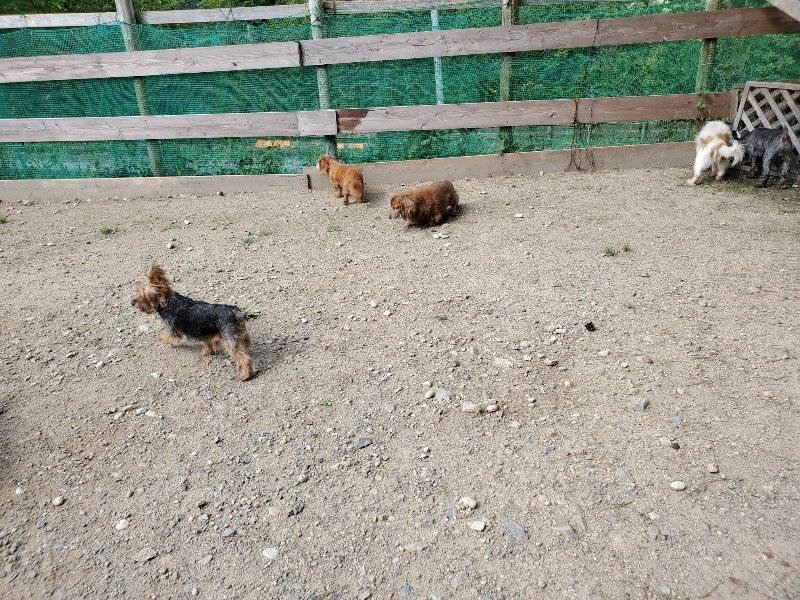 f:id:roukenhome-ann:20190917063627j:plain