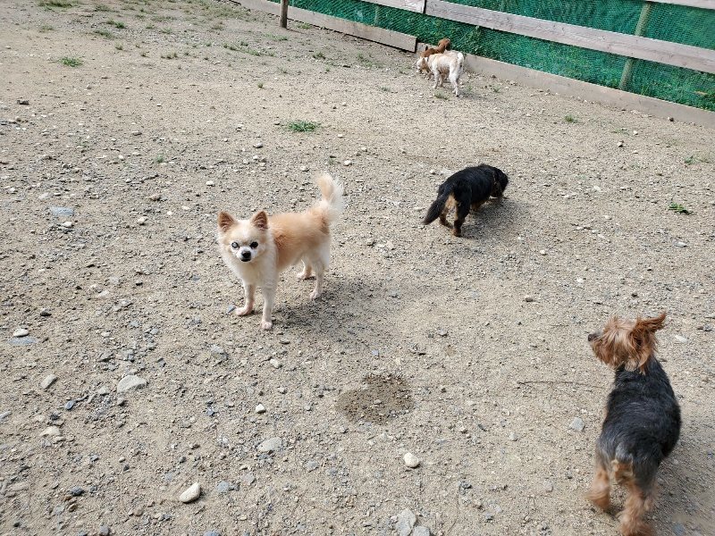 f:id:roukenhome-ann:20190917063634j:plain
