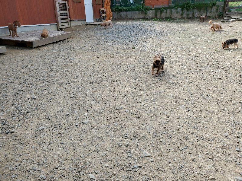 f:id:roukenhome-ann:20190917063647j:plain